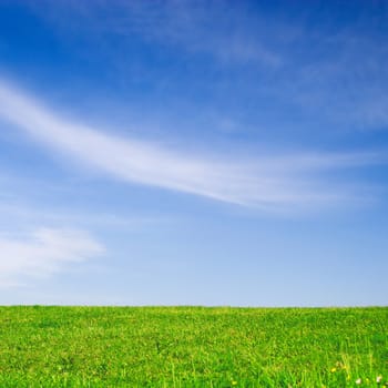 Green Field and Blue Sky