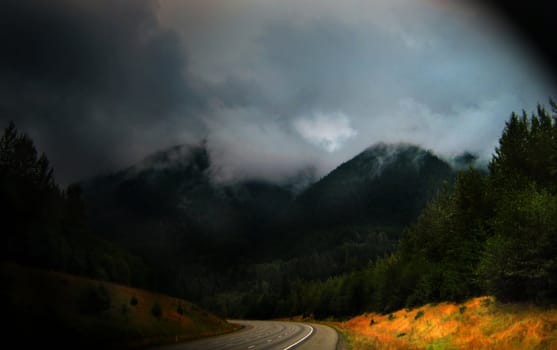 A mountain pass in Washington State has the clouds settling down on the forest with the sun breaking through to explose brilliant fall colors.
