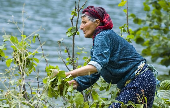 Turkish woman working in the field