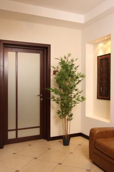 Vestibule with a plant and a sofa