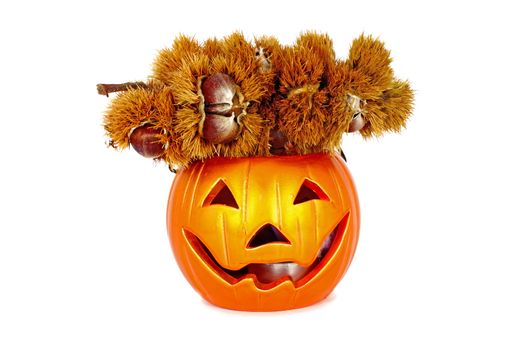 Little halloween lantern with chestnut isolated on white background