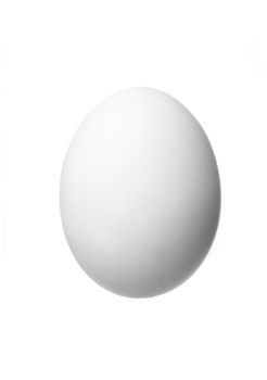 Egg