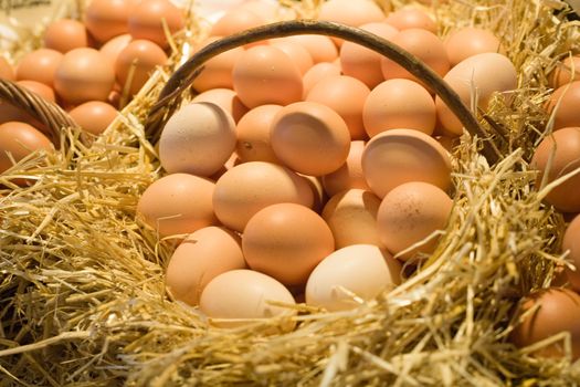 Fresh eggs in a basket surrounded by straw.