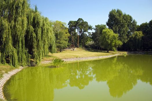 Central park of Debrecen city at summer time, Hungary