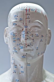 Acupuncture head model