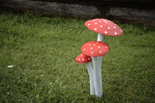 Fly Agaric mushroom on green field