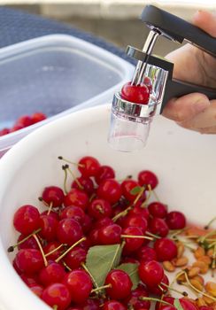 Pitting Sour Cherries in a bowl