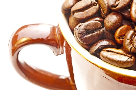 closeup of coffee beans in a cup