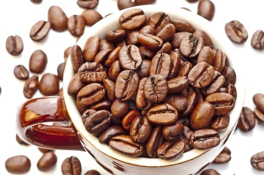 closeup of coffee beans in a cup