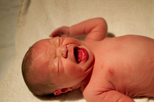 New born crying as hard she can at the hospital.