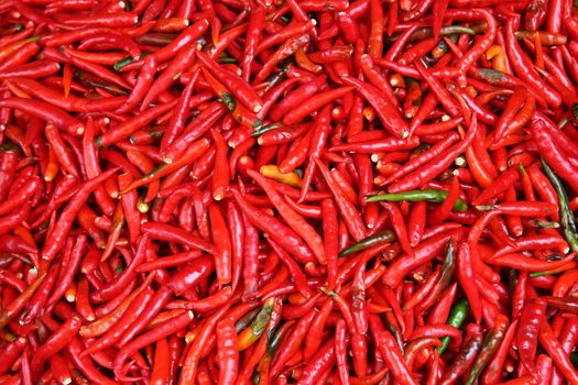 Hot Red Chillies