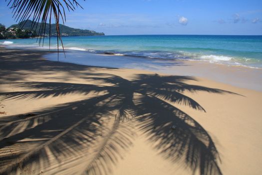 Palm Tree Shadow on Tropical Beach