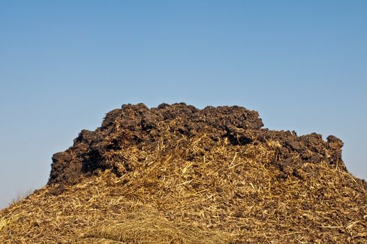 dung hill with a blue sky