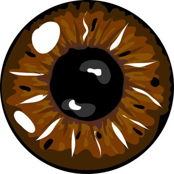 Illustration of a brown pupil
