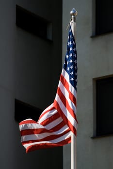 Flag of United States of America in the wind