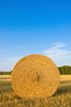 Golden field