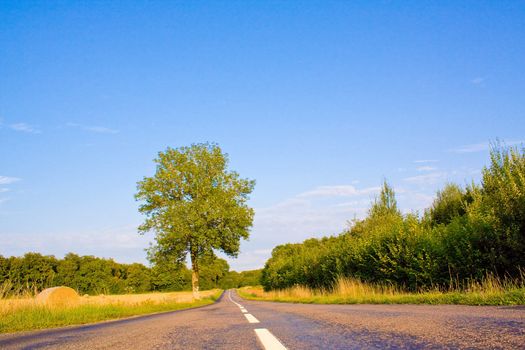 Highway in landscape