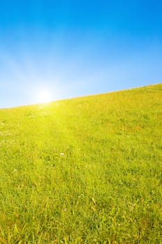 Idyllic lawn with sunlight