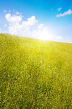 Idyllic lawn with sunlight