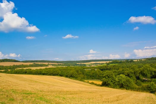 Golden field