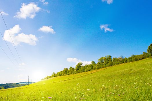 Idyllic lawn with sunlight in summer