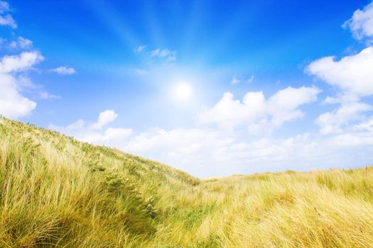 Idyllic dunes with sunlight