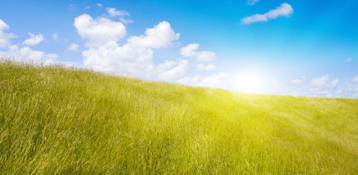 Idyllic lawn with sunlight