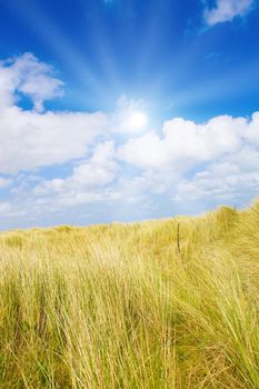 Idyllic dunes with sunlight