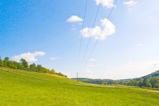 Idyllic meadow in summer