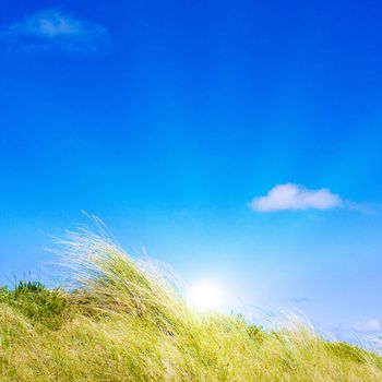 Idyllic dunes with sunlight