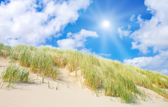 Beach and dunes with beautiful sunlight