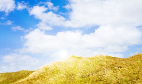 Idyllic dunes with sunlight