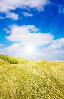 Idyllic dunes with sunlight