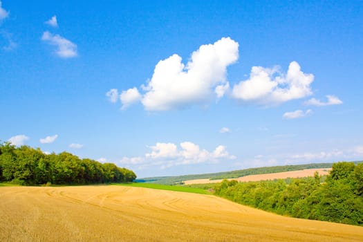 Golden field