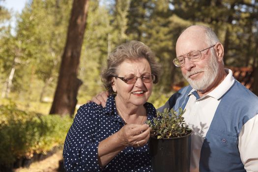 Attractive Senior Couple Overlooking Potted Plants at the Nursery.