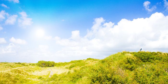 Idyllic dunes with sunlight