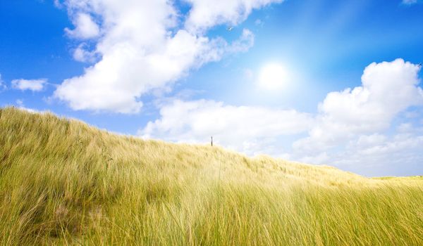 Idyllic dunes with sunlight