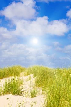 Idyllic dunes with sunlight