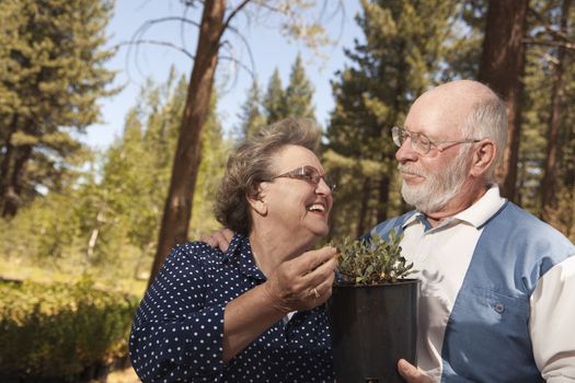 Attractive Senior Couple Overlooking Potted Plants at the Nursery.