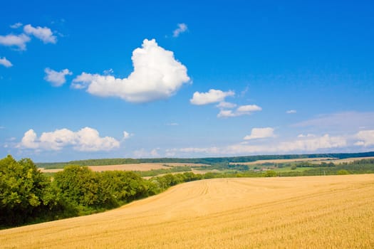 Golden field