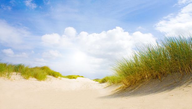 Idyllic dunes with sunlight