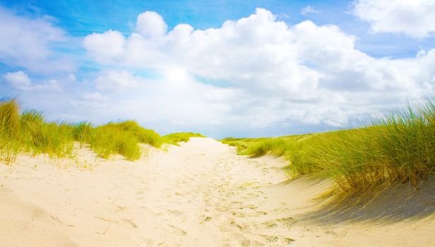 Idyllic dunes with sunlight