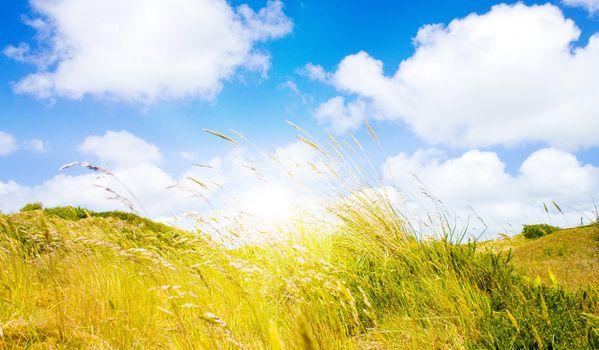 Idyllic dunes with sunlight