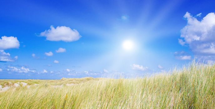 Idyllic dunes with sunlight