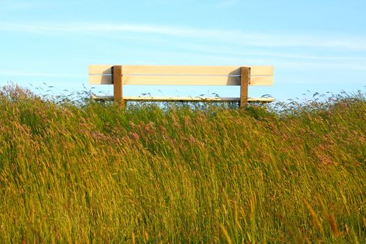 Idyllic lawn with bench