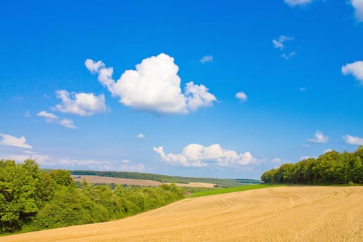 Golden field