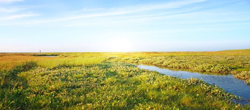 Idyllic lawn with Stream and sunlight