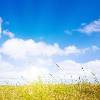 Idyllic dunes with sunlight