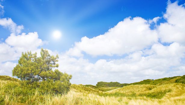 Idyllic dunes with sunlight