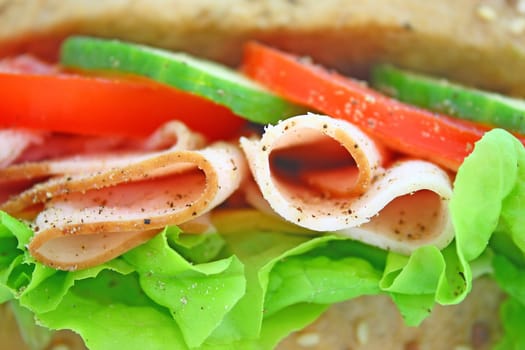 Fresh sandwich with ham and cheese and vegetables